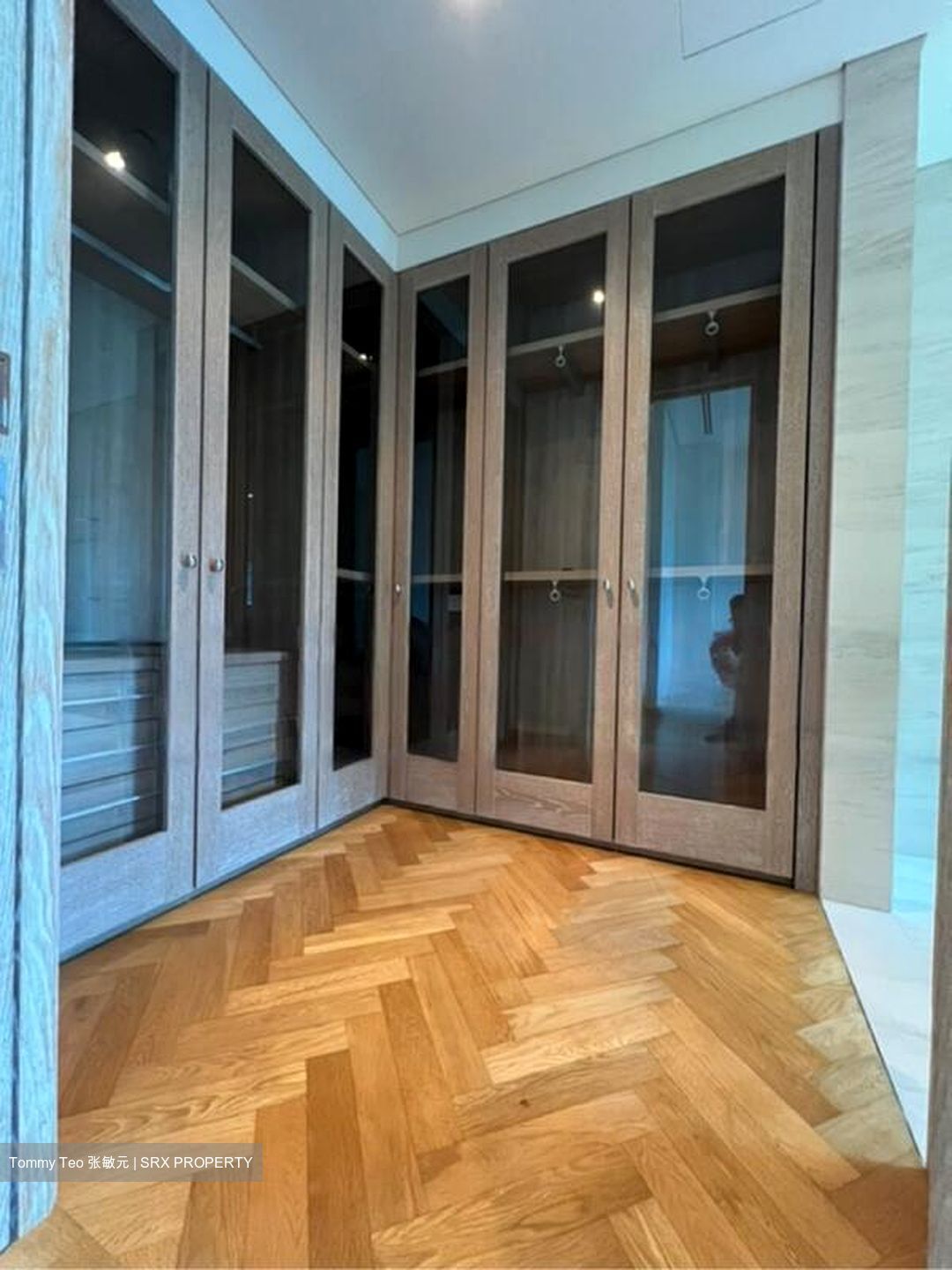The Ritz-Carlton  (D9), Condominium #453706531